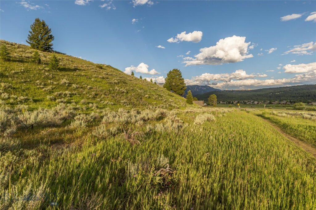 TBD Little Coyote, Big Sky MT 59716