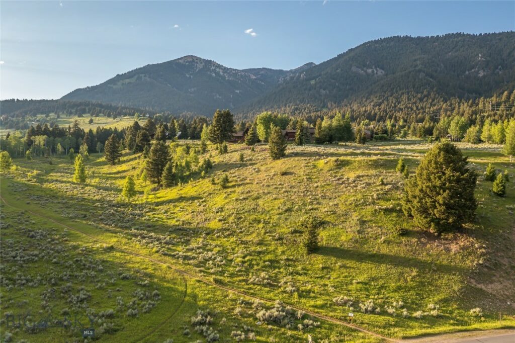 TBD Little Coyote, Big Sky MT 59716