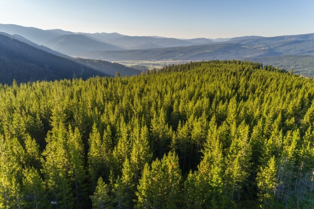 TBD Ridge Fork Road, Big Sky MT 59716