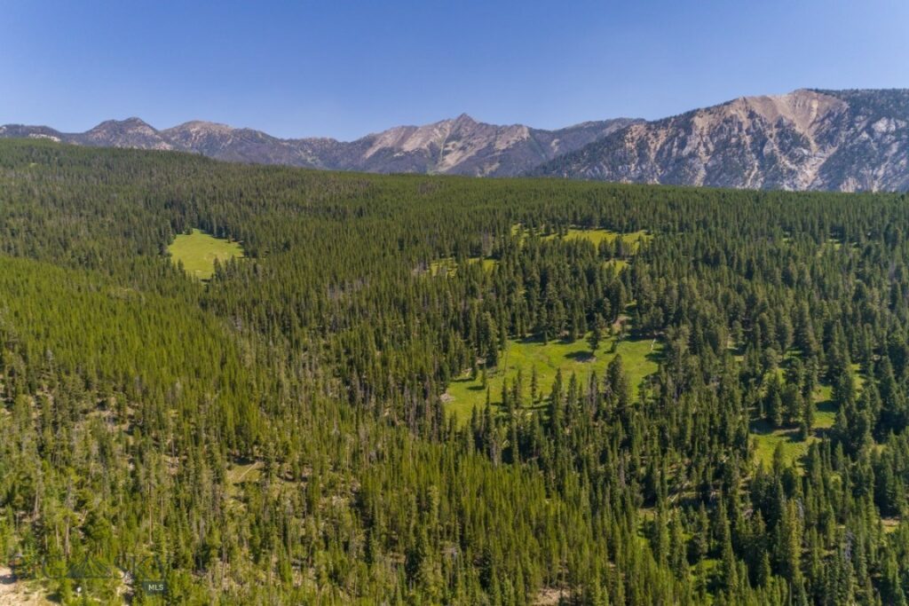 TBD Ridge Fork Road, Big Sky MT 59716