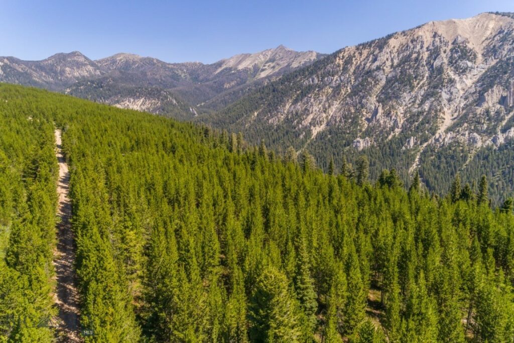 TBD Ridge Fork Road, Big Sky MT 59716