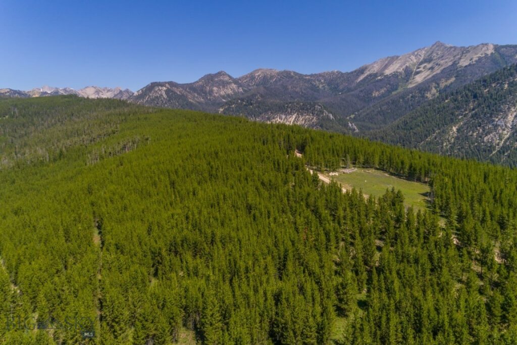 TBD Ridge Fork Road, Big Sky MT 59716