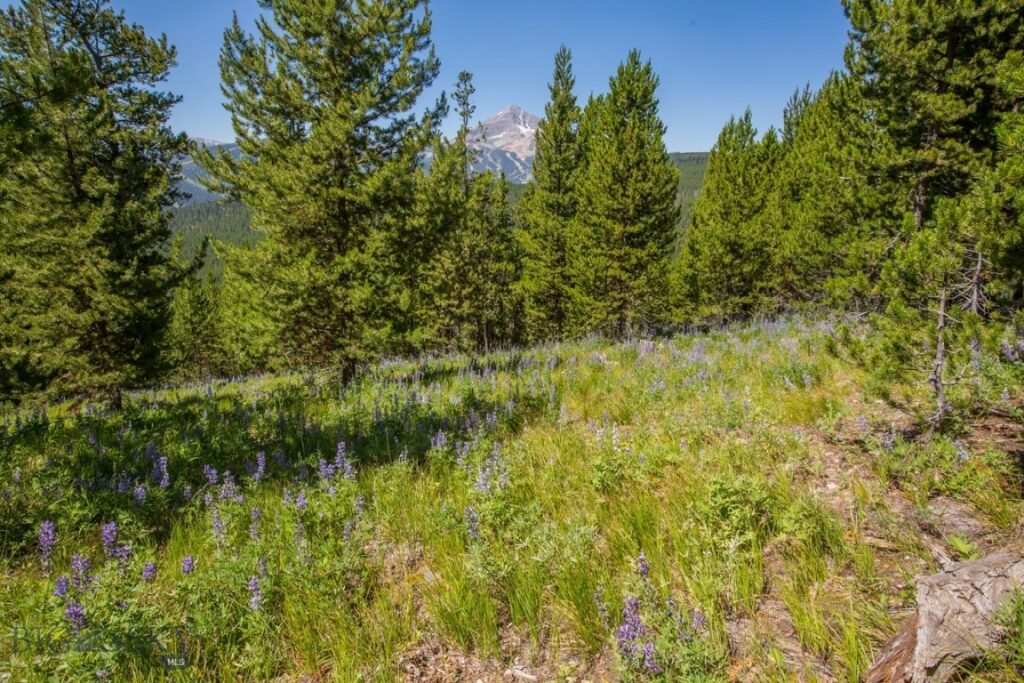TBD Ridge Fork Road, Big Sky MT 59716