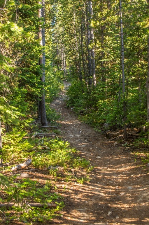 TBD Ridge Fork Road, Big Sky MT 59716