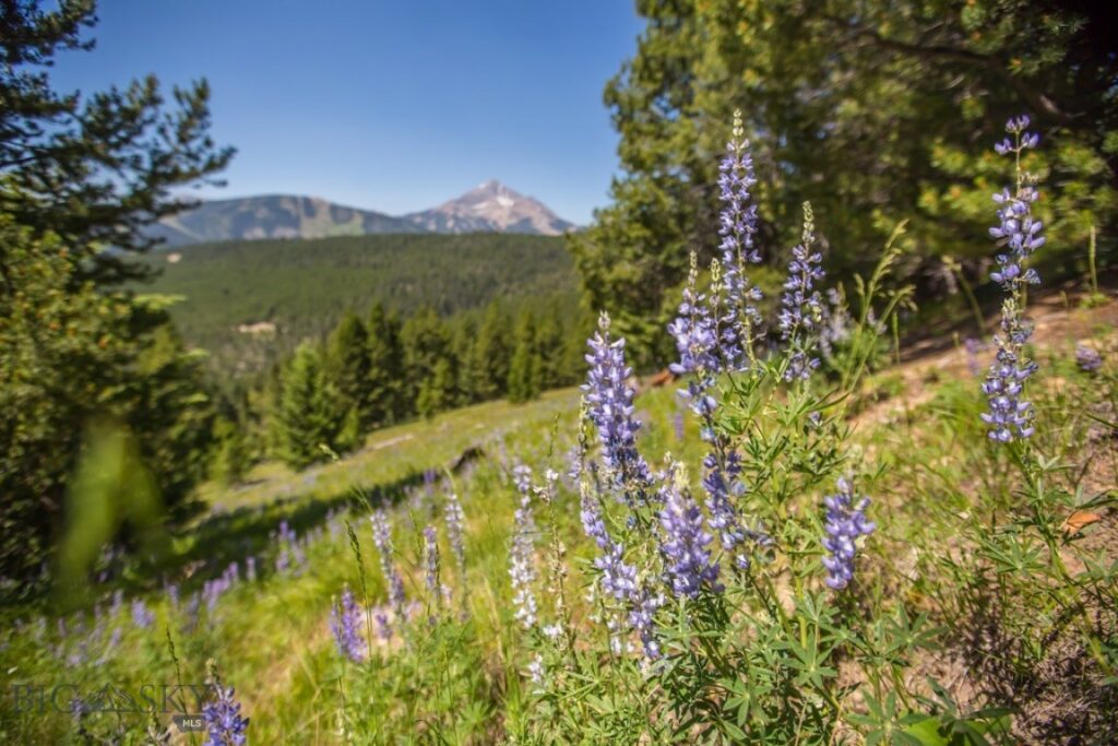 TBD Ridge Fork Road, Big Sky MT 59716