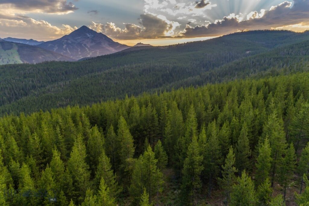 TBD Ridge Fork Road, Big Sky MT 59716