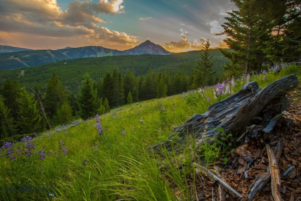 TBD Ridge Fork Road, Big Sky MT 59716