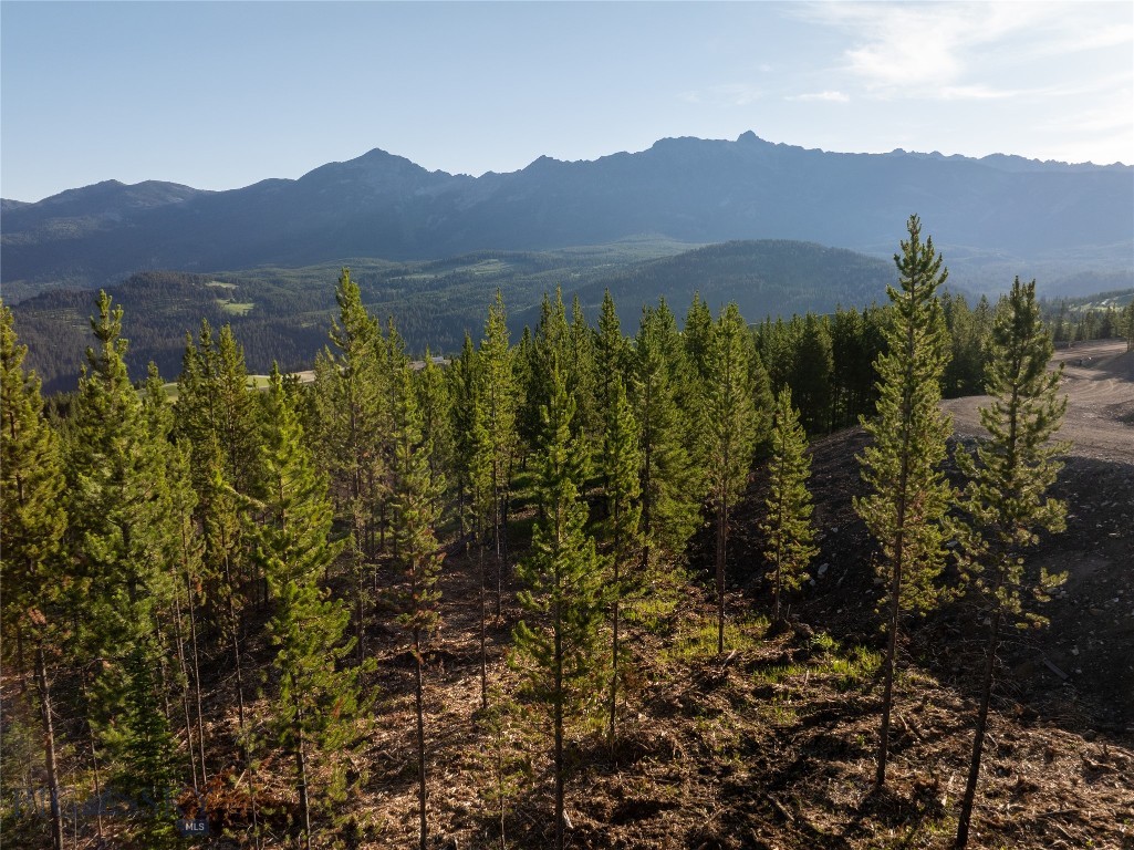 TBD Sawtooth Road, Big Sky MT 59716