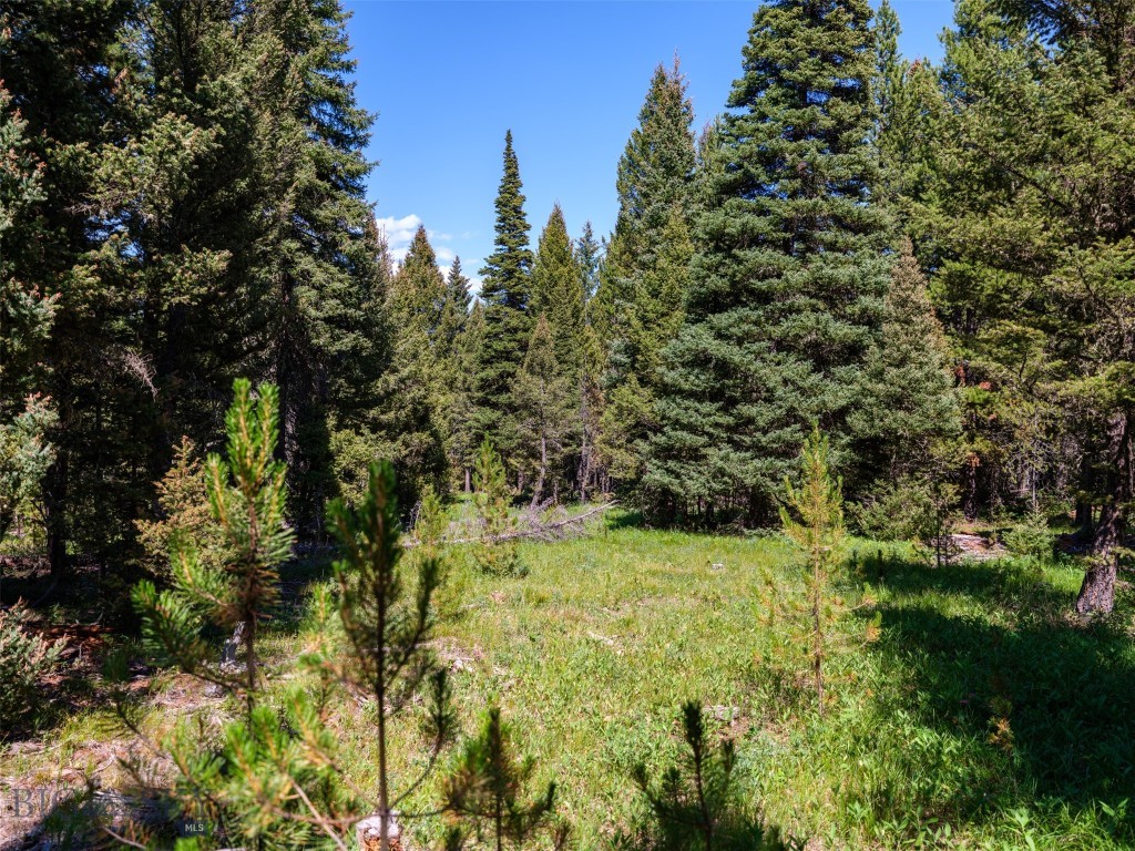 TBD Settlers Loop Lot 91, Big Sky MT 59716
