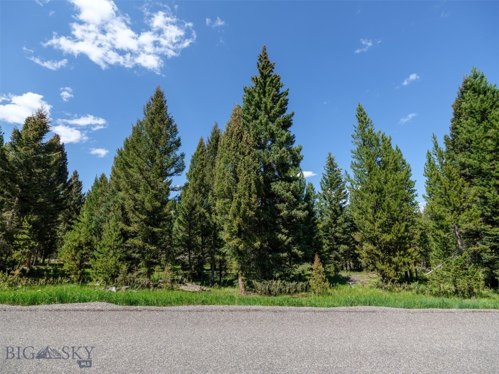 TBD Settlers Loop Lot 91, Big Sky MT 59716