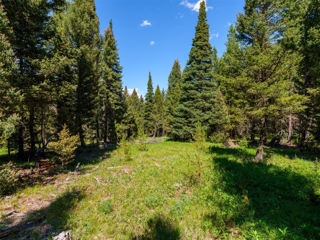 TBD Settlers Loop Lot 91, Big Sky MT 59716