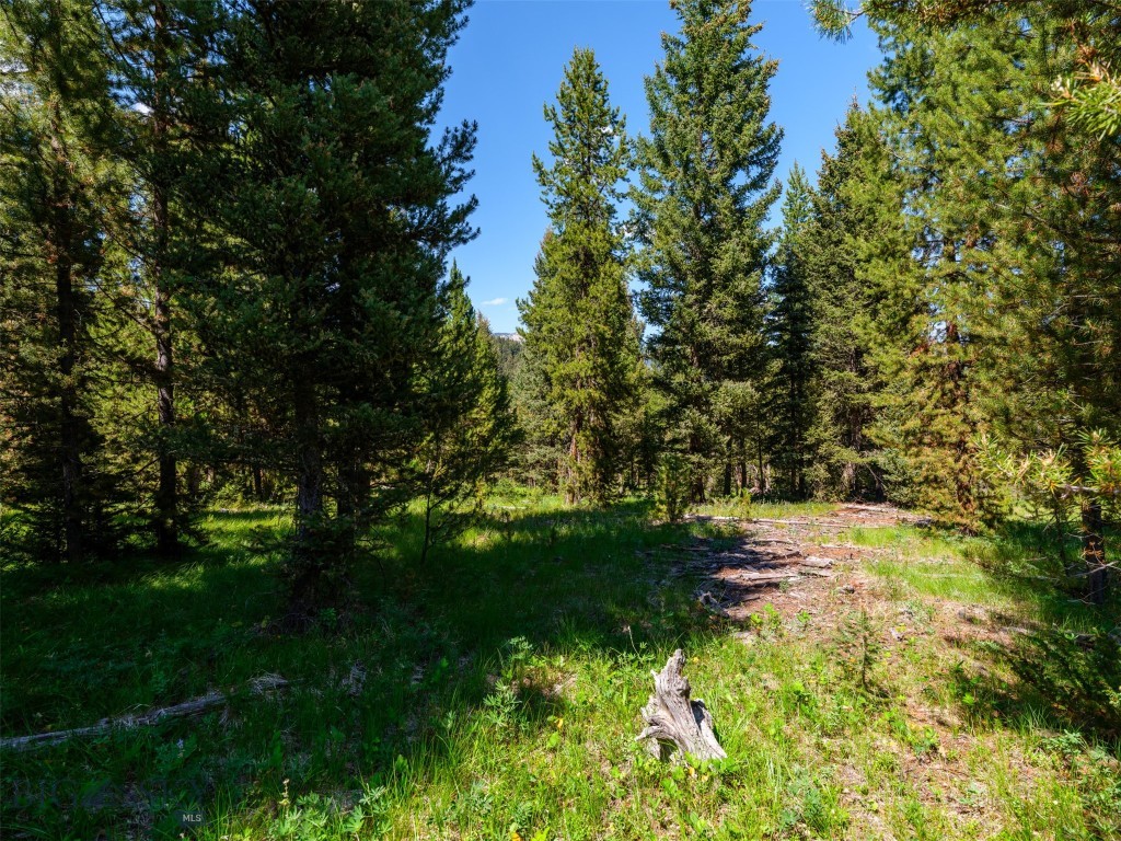 TBD Settlers Loop Lot 91, Big Sky MT 59716