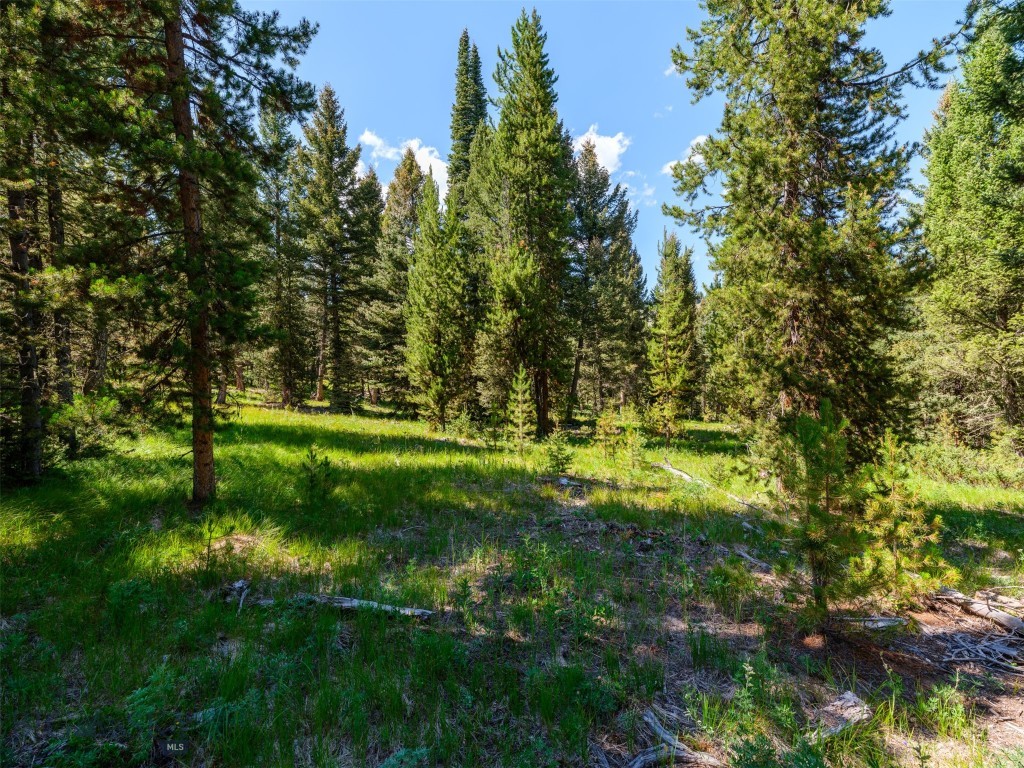 TBD Settlers Loop Lot 91, Big Sky MT 59716