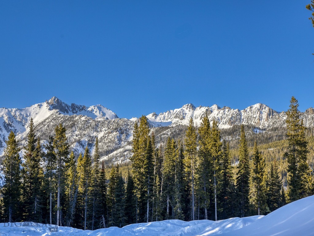 TBD Speaking Eagle, Big Sky MT 59716