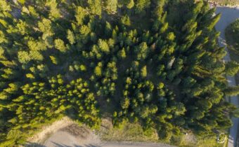 TBD Sweetroot Fork, Big Sky MT 59716