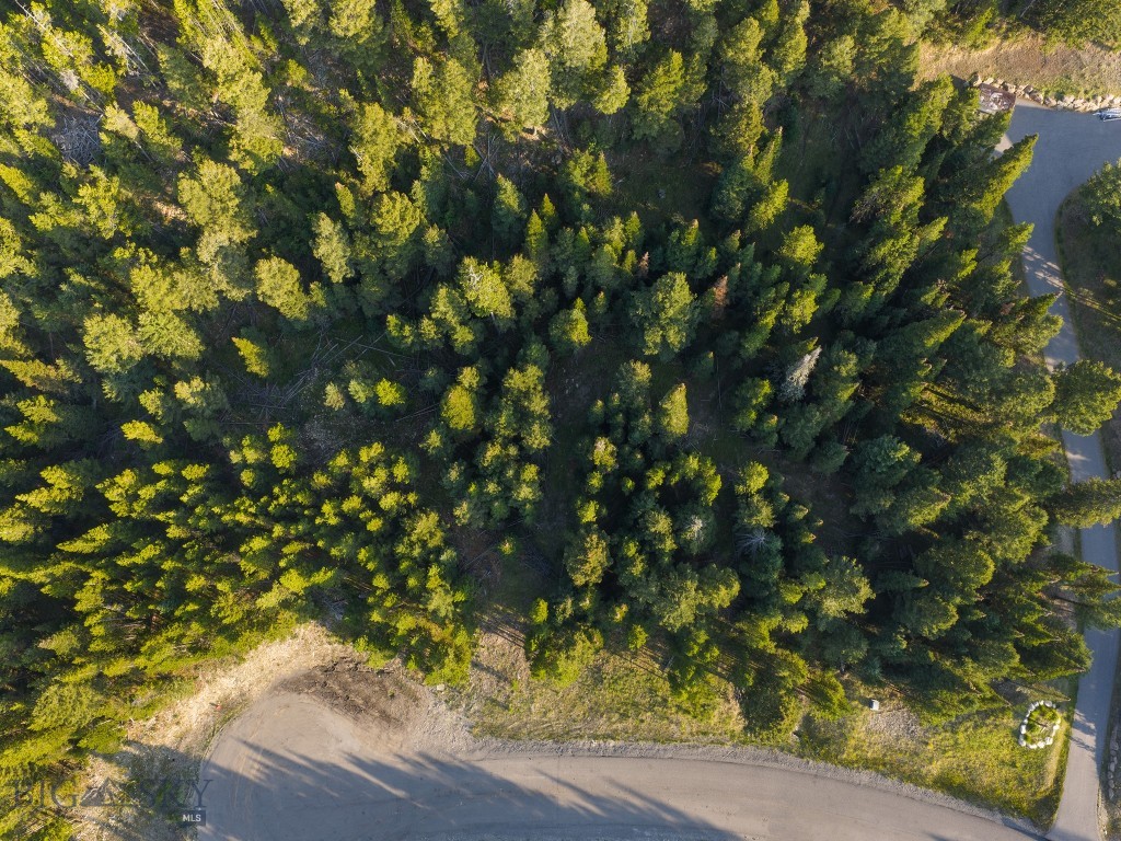 TBD Sweetroot Fork, Big Sky MT 59716