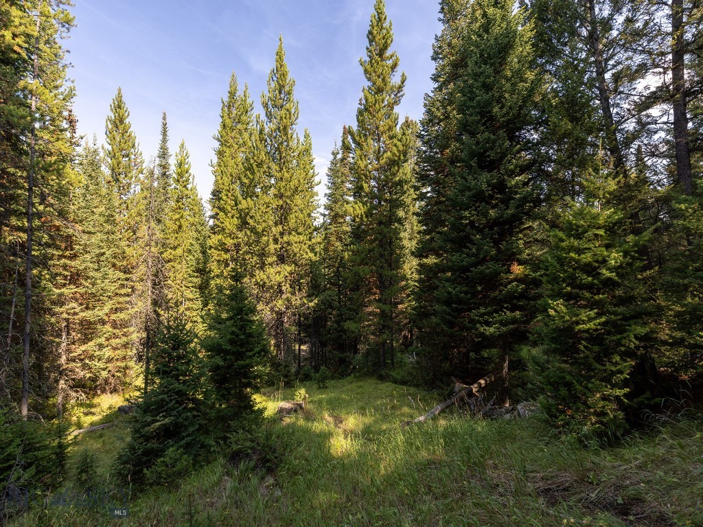 TBD Sweetroot Fork, Big Sky MT 59716