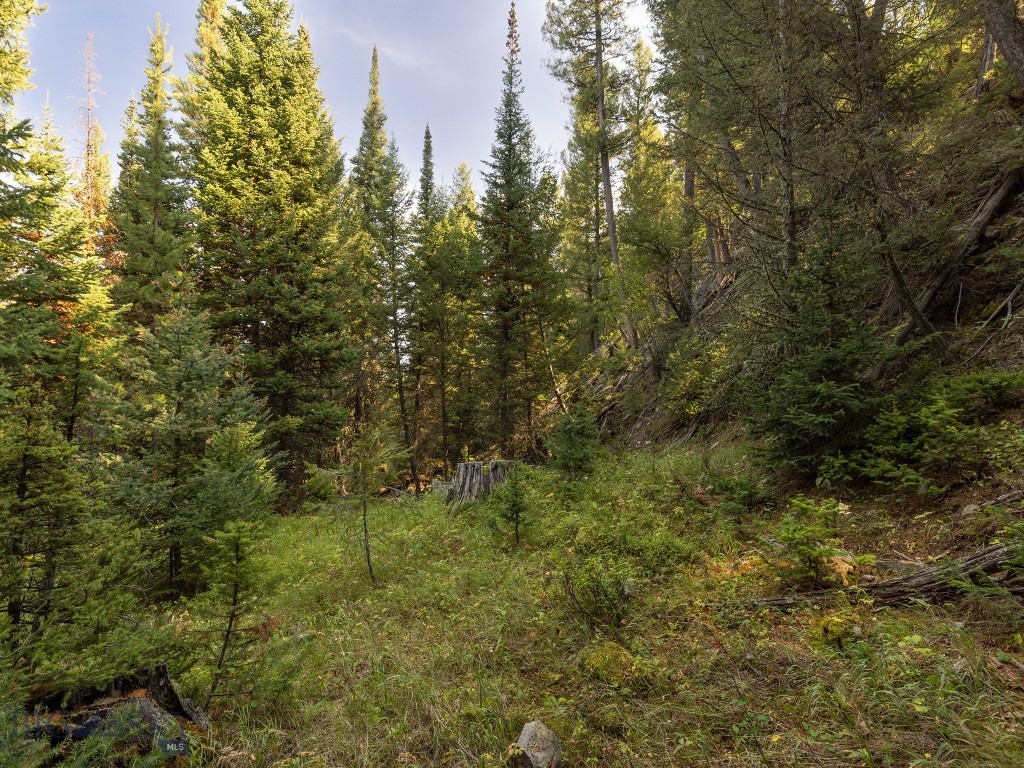 TBD Sweetroot Fork, Big Sky MT 59716