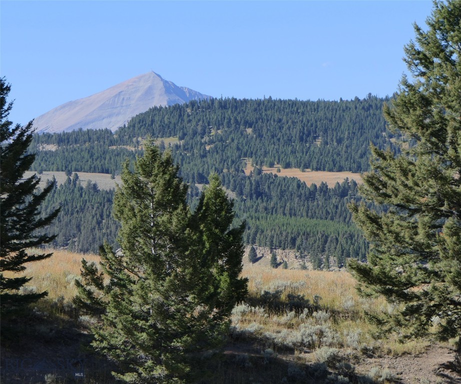 TBD Timberloft, Big Sky MT 59716