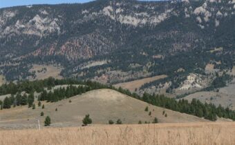 TBD Timberloft, Big Sky MT 59716