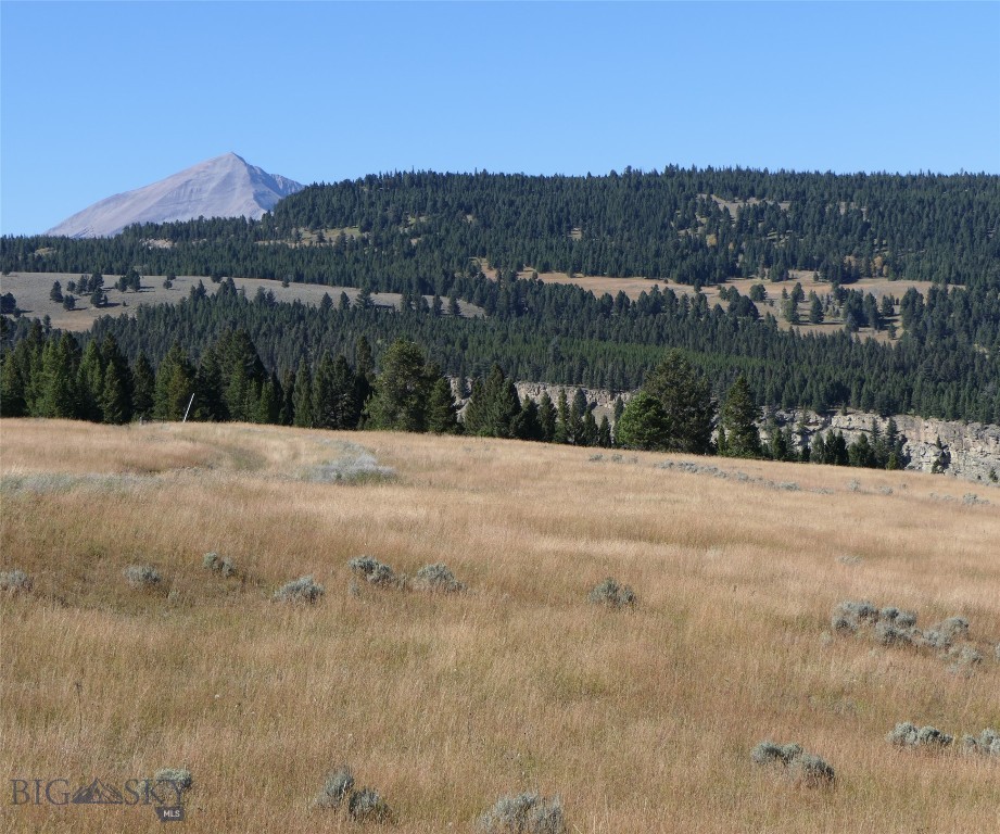TBD Timberloft, Big Sky MT 59716