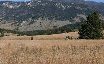 TBD Timberloft, Big Sky MT 59716