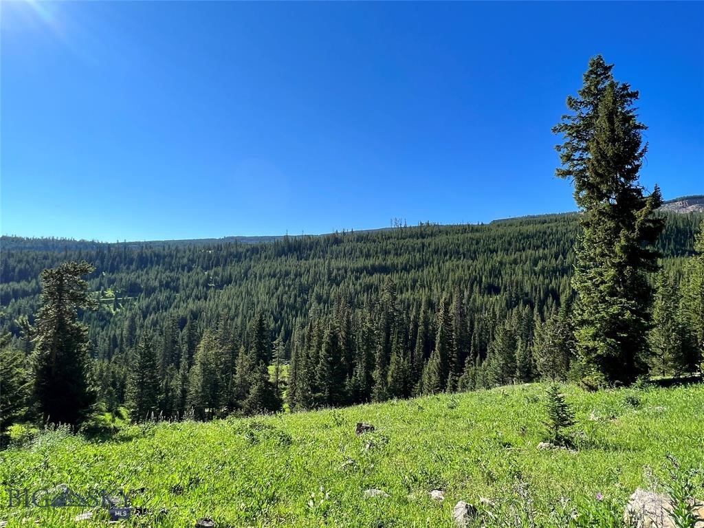 tbd Trout Pond Lane, Big Sky MT 59716