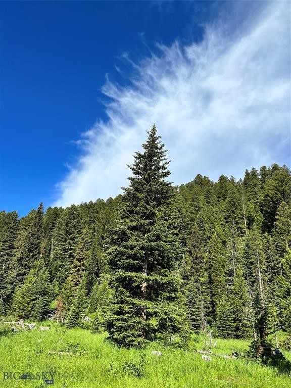 tbd Trout Pond Lane, Big Sky MT 59716