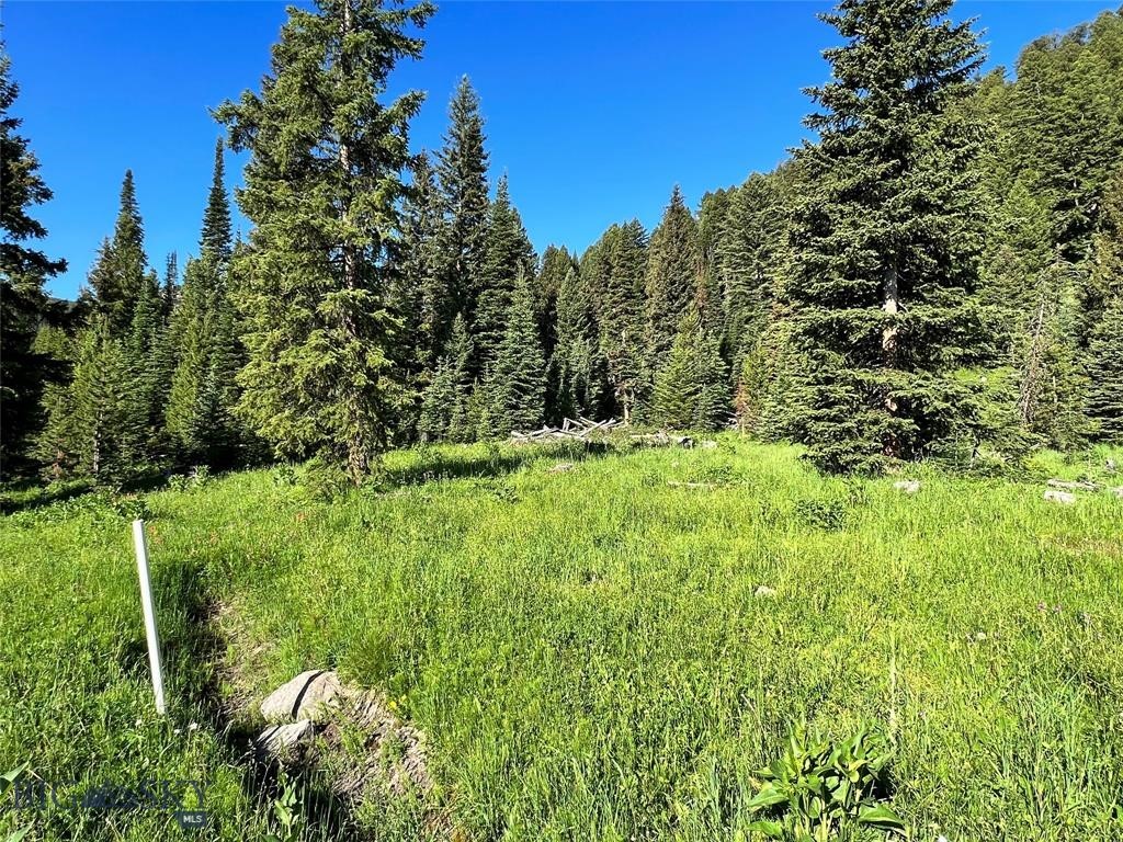 tbd Trout Pond Lane, Big Sky MT 59716