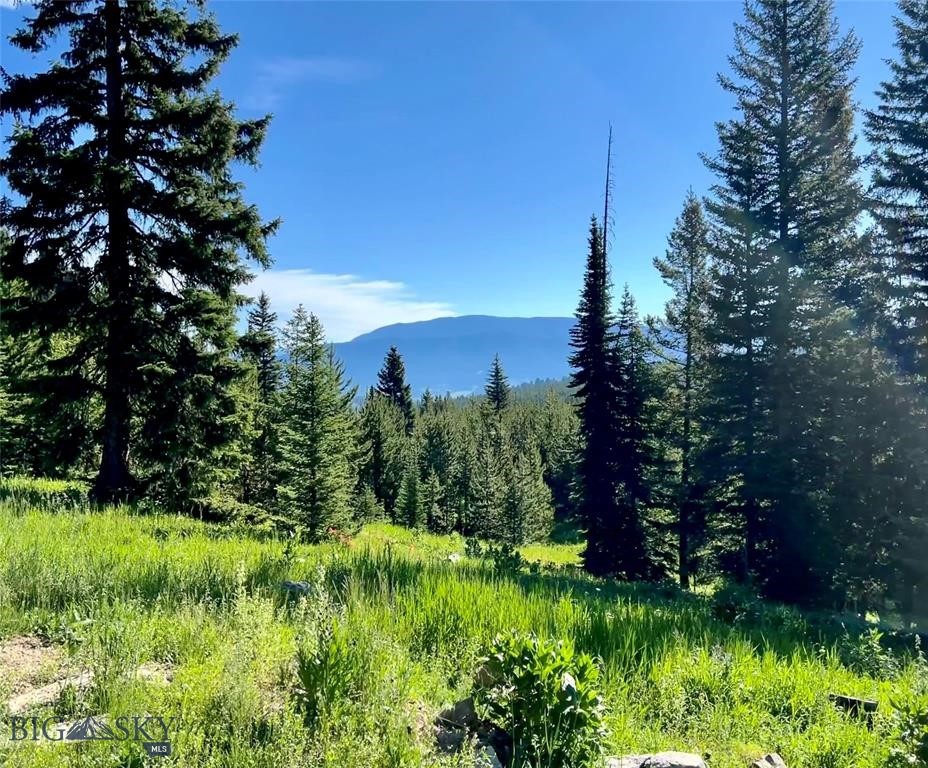 tbd Trout Pond Lane, Big Sky MT 59716
