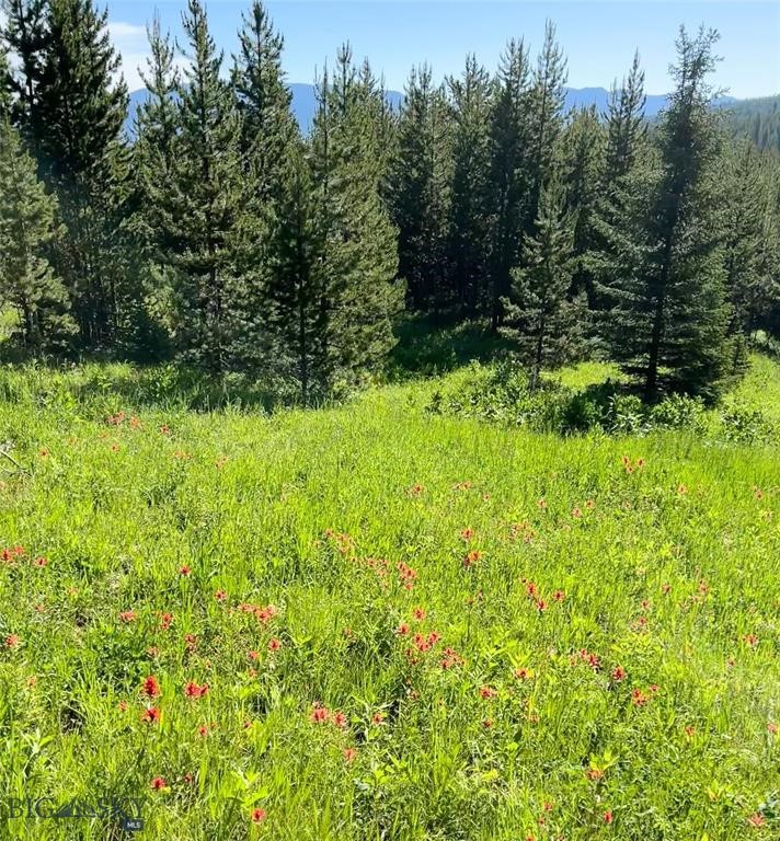 tbd Trout Pond Lane, Big Sky MT 59716