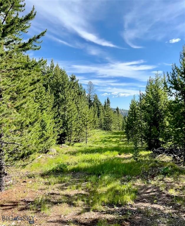 tbd Trout Pond Lane, Big Sky MT 59716