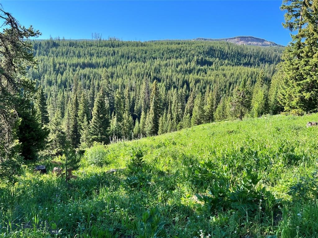 tbd Trout Pond Lane, Big Sky MT 59716