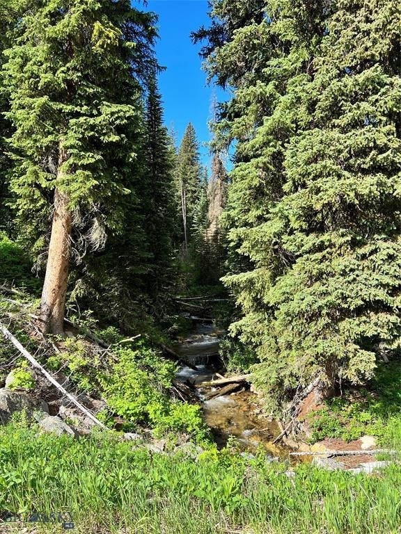 tbd Trout Pond Lane, Big Sky MT 59716