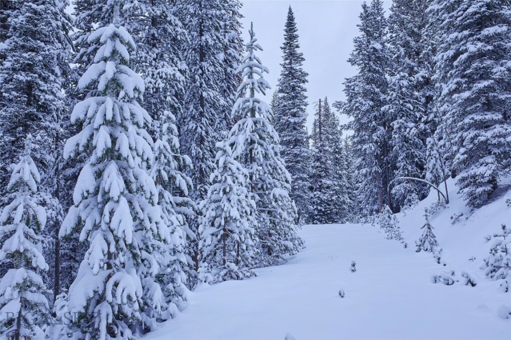 tbd Ulery’s Lakes Road – Lot 12A + 13A, Big Sky MT 59716
