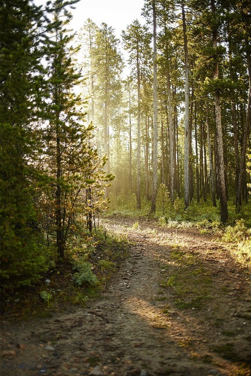 tbd Ulery’s Lakes Road – Lot 12A + 13A, Big Sky MT 59716