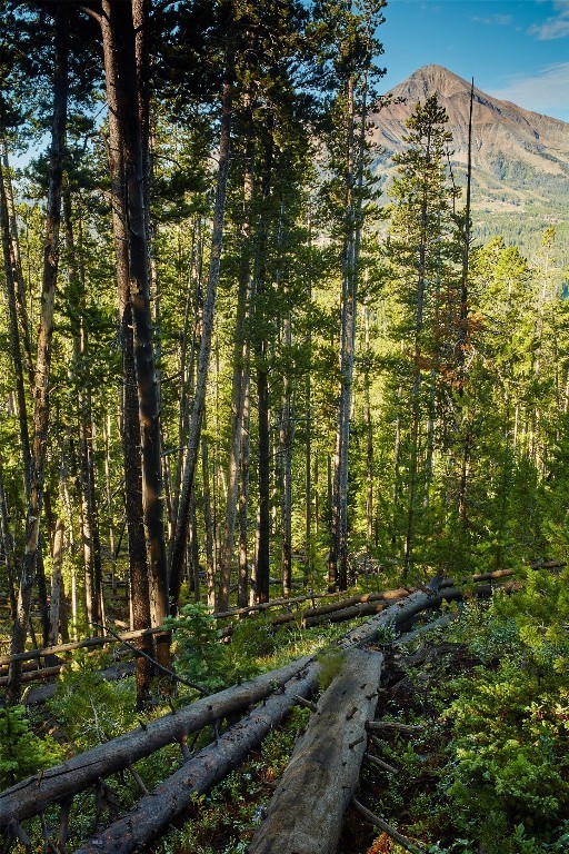 tbd Ulery’s Lakes Road – Lot 12A + 13A, Big Sky MT 59716