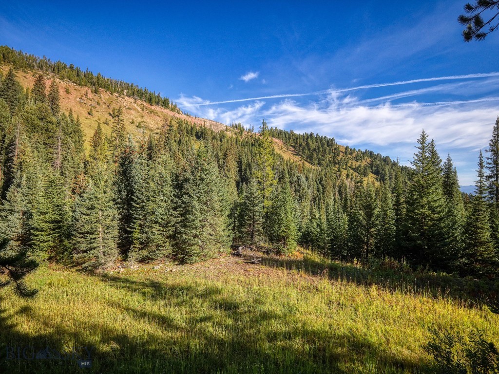 TBD Upper Beaver Creek Road, Big Sky MT 59730