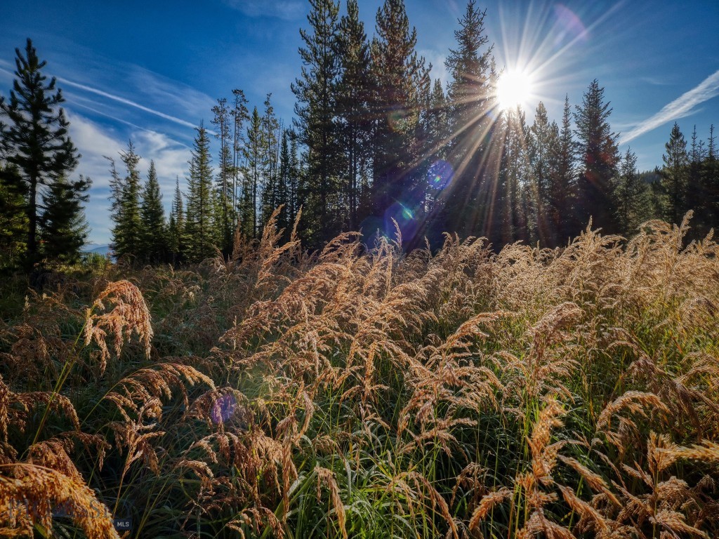 TBD Upper Beaver Creek Road, Big Sky MT 59730