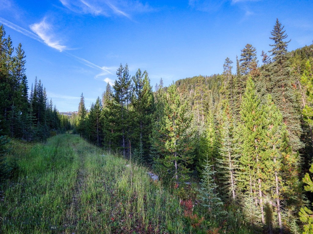 TBD Upper Beaver Creek Road, Big Sky MT 59730