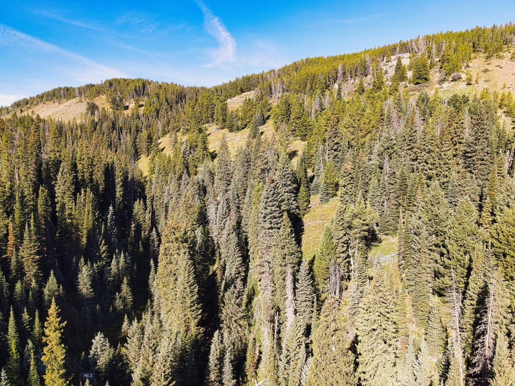 TBD Upper Beaver Creek Road, Big Sky MT 59730