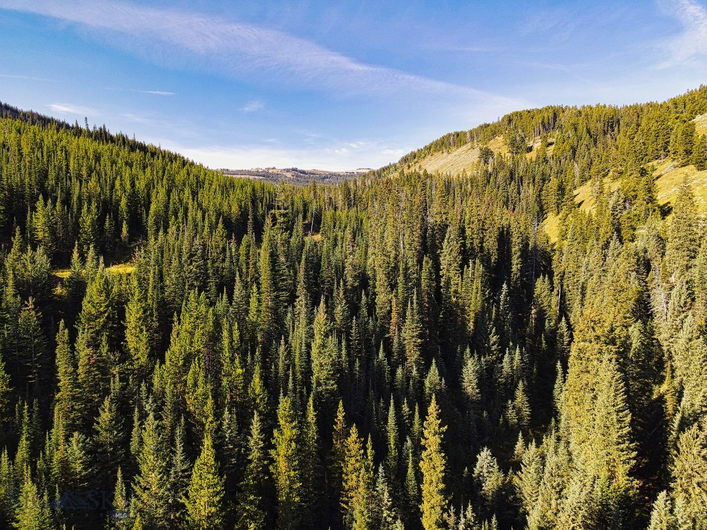 TBD Upper Beaver Creek Road, Big Sky MT 59730