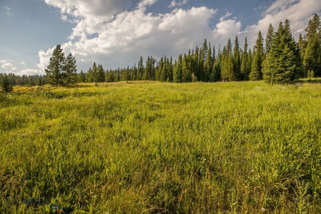 TBD Washaki Lot 23 Road, Big Sky MT 59716