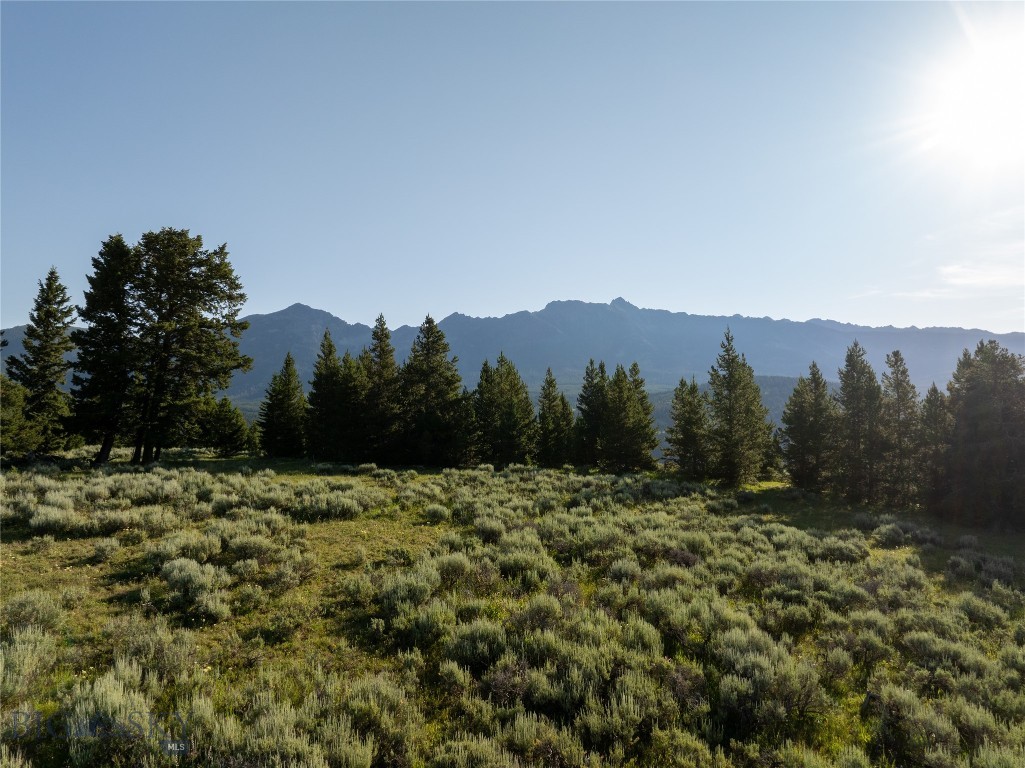 TBD White Wolf Trail, Big Sky MT 59716