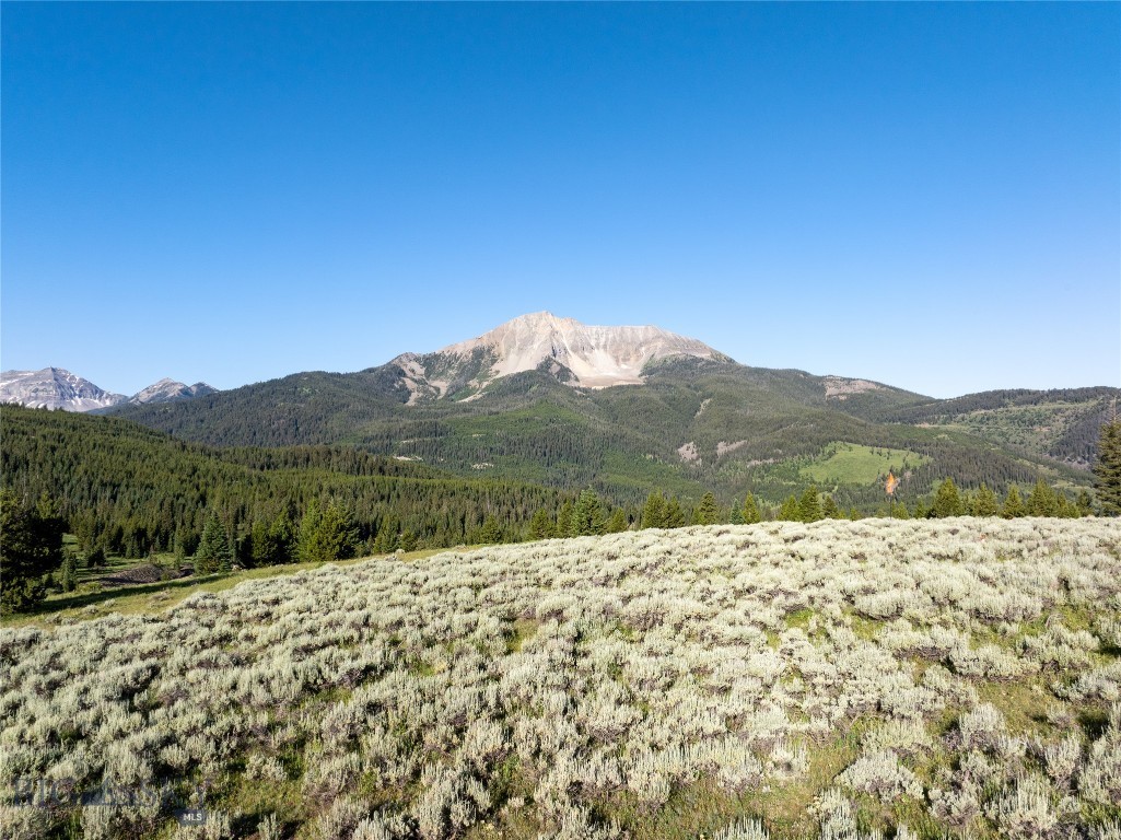 TBD White Wolf Trail, Big Sky MT 59716