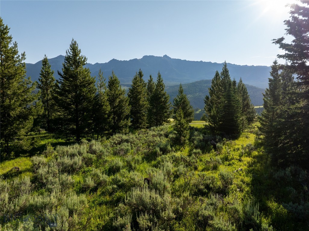 TBD White Wolf Trail, Big Sky MT 59716
