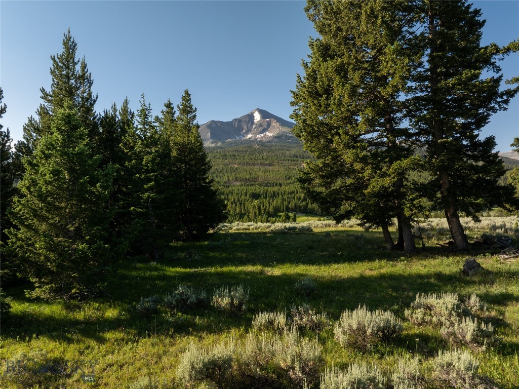TBD White Wolf Trail, Big Sky MT 59716