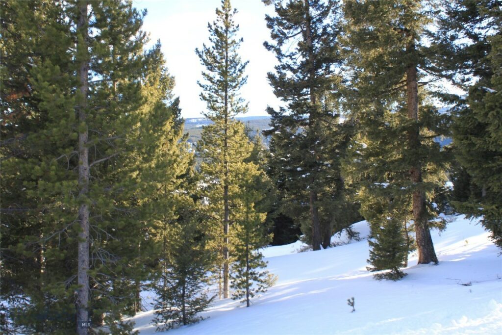 TBD Wilderness Ridge Trail, Big Sky MT 59716